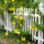 Unveiling the Charm of Garden Fencing